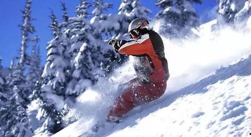 滑雪网红吃瓜视频大全免费观看,免费观看，笑料不断！